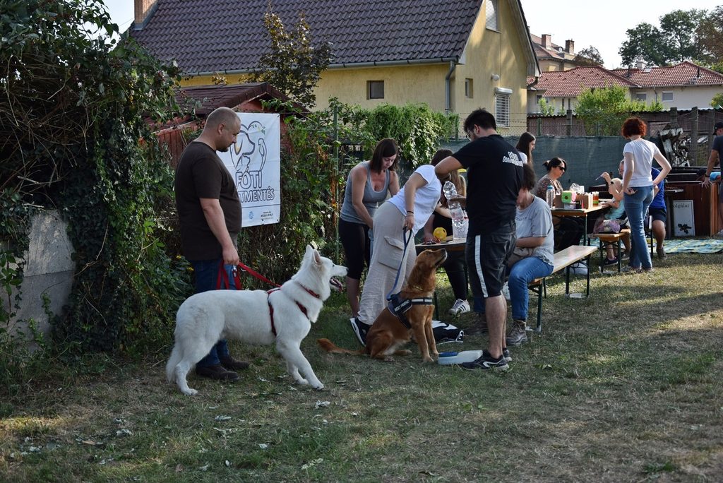 dsc 0439